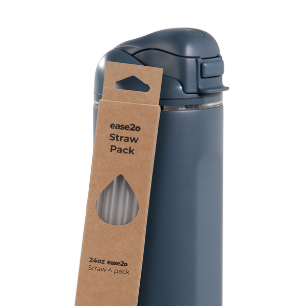 Ease2o Straws 4 Pack 24oz AX76